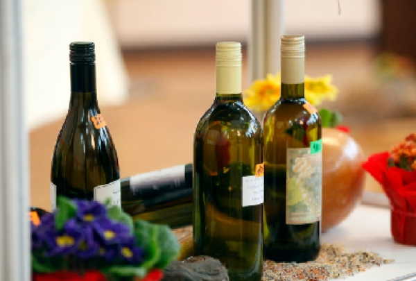 Udruga vinogradara „Trsek“ Ludbreg organizira međunarodnu 27. izložbu mladih vina